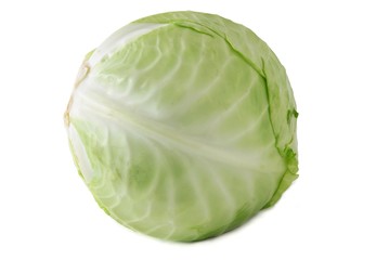 early cabbage