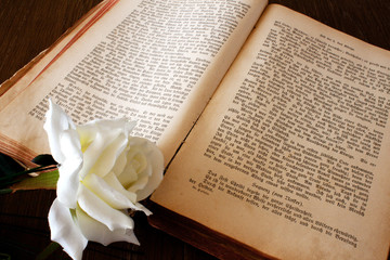 Buch mit weißer Rose