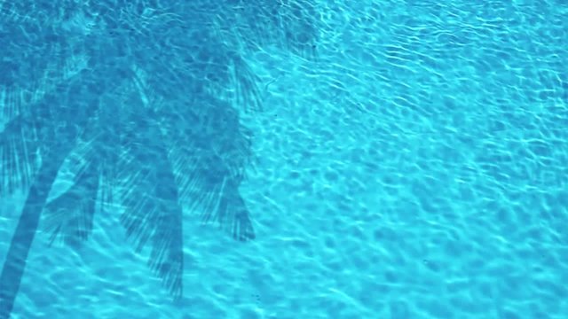 Pool - 001 - Palme - Film