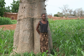 Naklejka na ściany i meble dziewczyna baobab