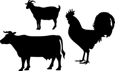 Meaty farm animals