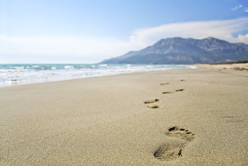 footprints in the sand beach