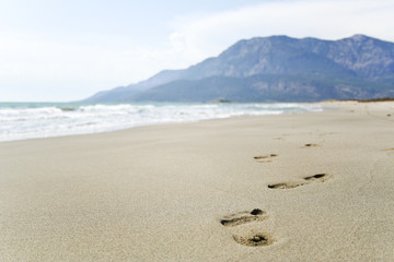 footprints in the sand beach