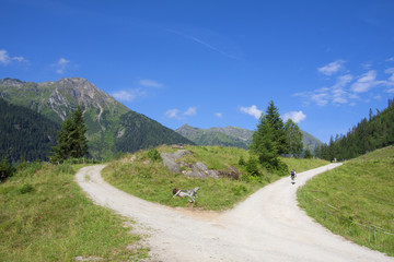 Wandertour zum Riesachsee - Schladming