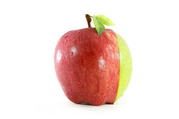 green and red mixed apple