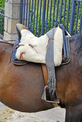Horse saddle