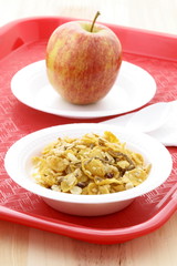 Healthy kids or adults meal