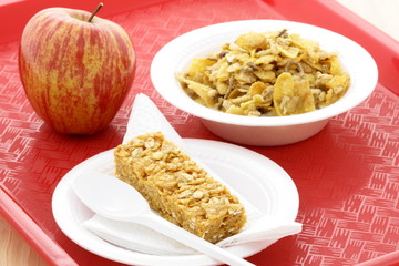 Healthy kids or adults meal