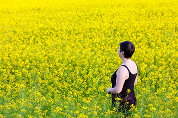 Summer Meadow