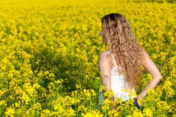 Fototapeta premium Summer Meadow