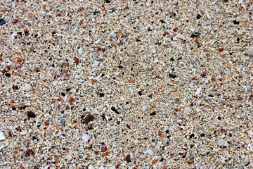 A Background Image of Shells and Stones on a Beach.