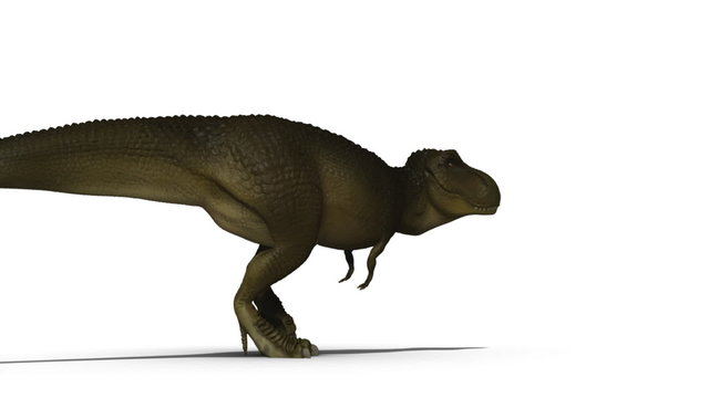 T-rex 3d animation