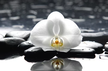 Gordijnen Macro van witte orchidee en therapiestenen op kiezelsteen © Mee Ting