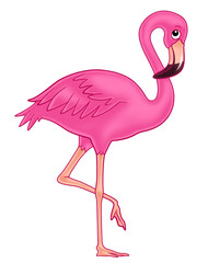 flamingo - obrazy, fototapety, plakaty