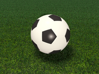 Fototapeta na wymiar soccer ball