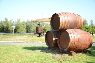 Botti e torchio