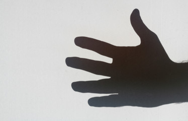 Hand shadow