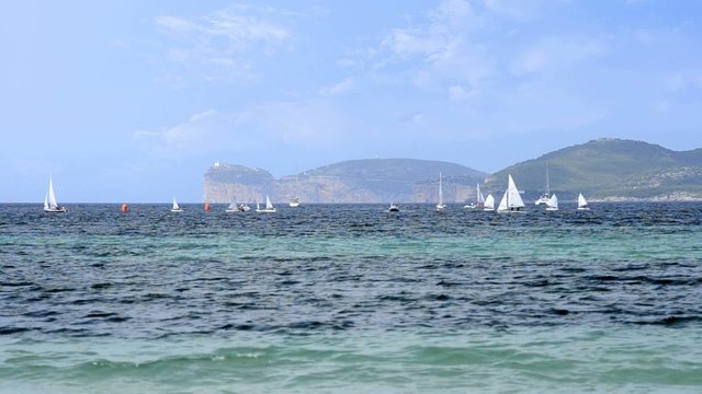 regata nel golfo di capo caccia