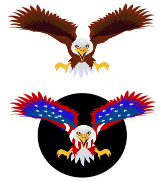 american eagle vector illustration