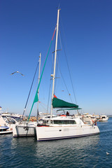 Luxury white catamaran boat