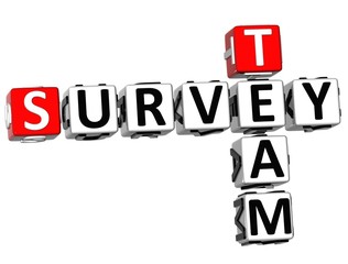 3D Team Survey Crossword