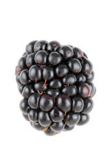 blackberry