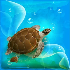  schildpaddenfamilie die in de oceaan zwemt © sannare