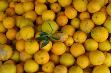 Oranges