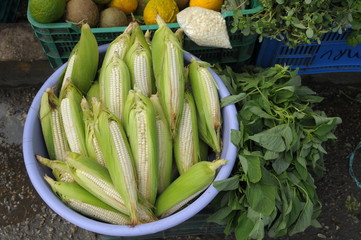 Corn