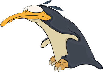 Penguin . Cartoon