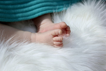 Newborn baby feet