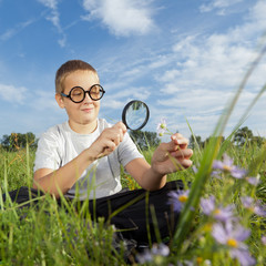 Child, examining with a magnifying glass flower