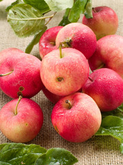 apples
