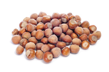 hazelnuts in shell