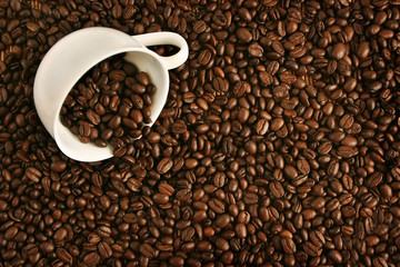 Cup of coffee