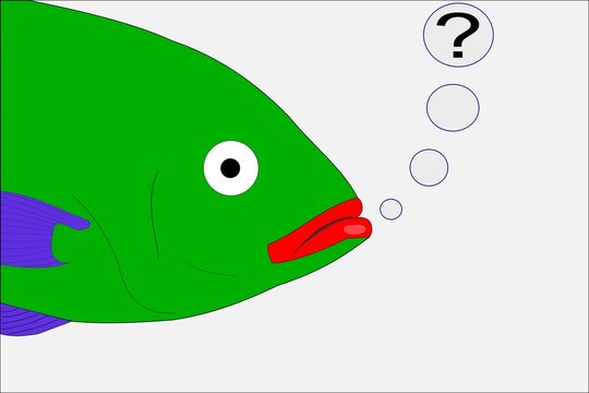 Buntfisch