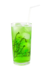 Green cocktail with herb isolated on white