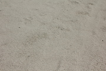 white sand beash