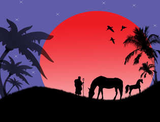 Horses on tropical sunset