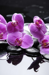 therapy stones with pink orchid reflection