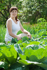 Girl  in field of cabbage