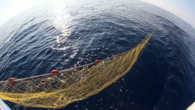 Fishing net is lowered into the sea
