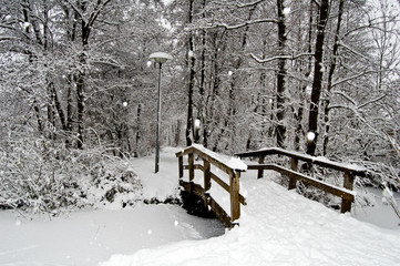 Amelisweerd park under snow