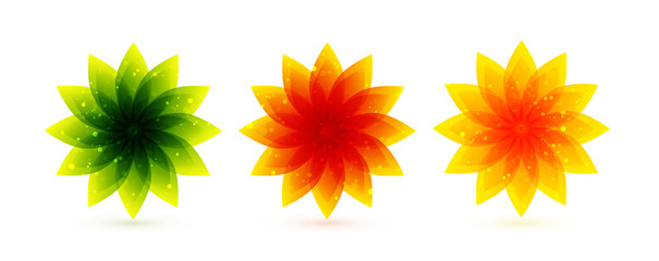 Vector color flower icons