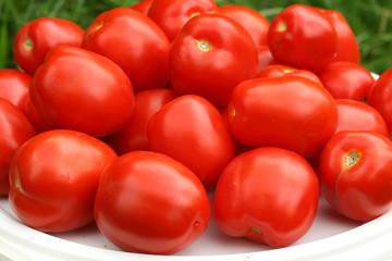 Heap of tomatoes