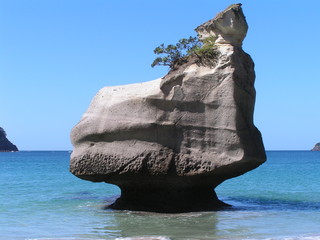 Cathedral Cove Rock
