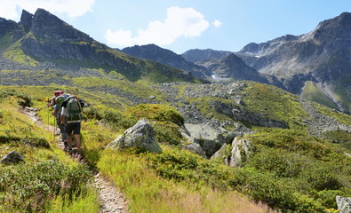 Fototapeta premium randonneurs...circuit alpin