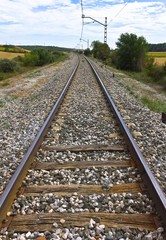 Fototapeta na wymiar Railway in the Field