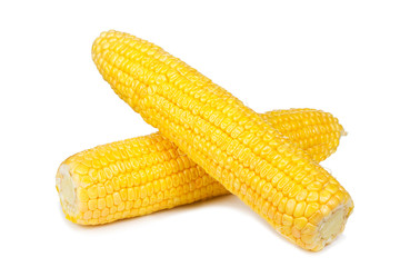 fresh corn