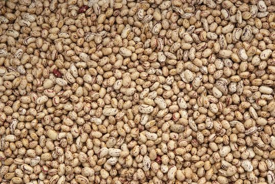 Fagioli montani